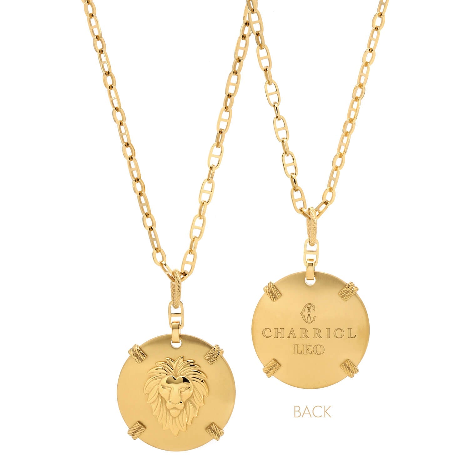 Or jaune_Or Leo_60cm à 70cm