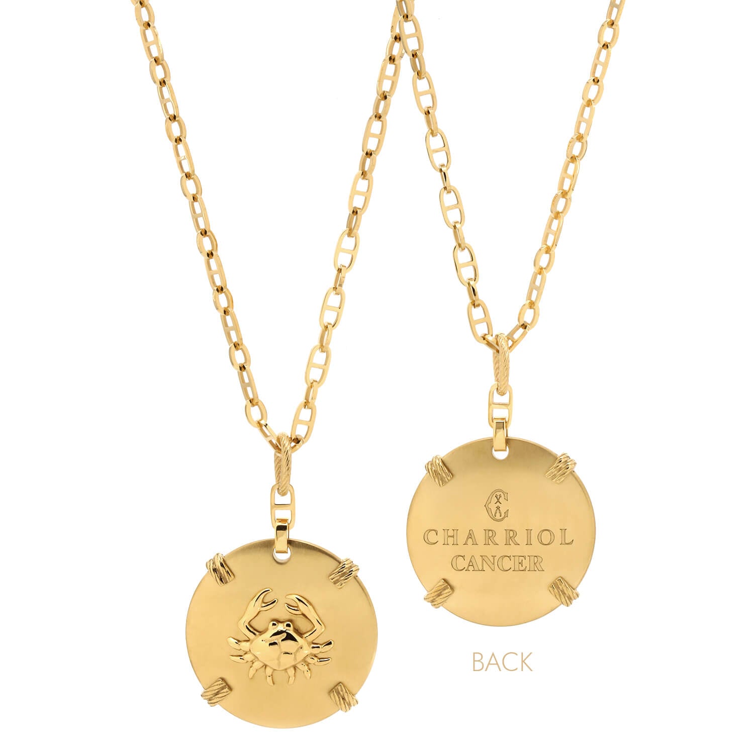 Or jaune_Cancer d'or_60cm à 70cm