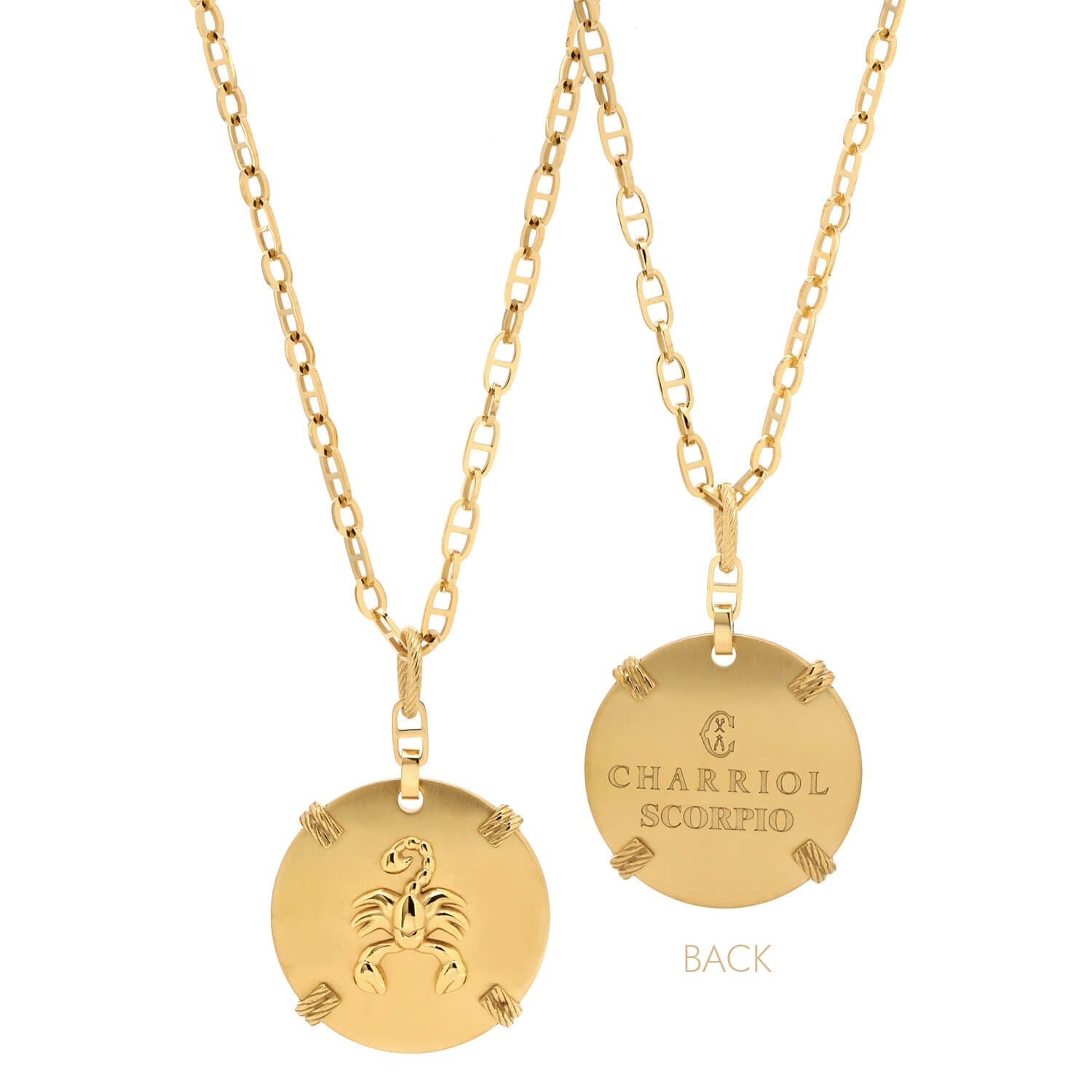 Or jaune_Or Scorpion_60cm à 70cm