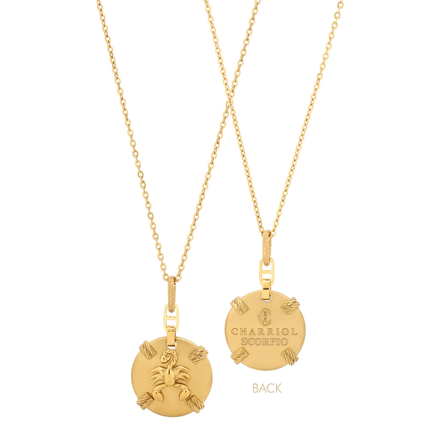 Or jaune_Or Scorpion_45cm à 55cm