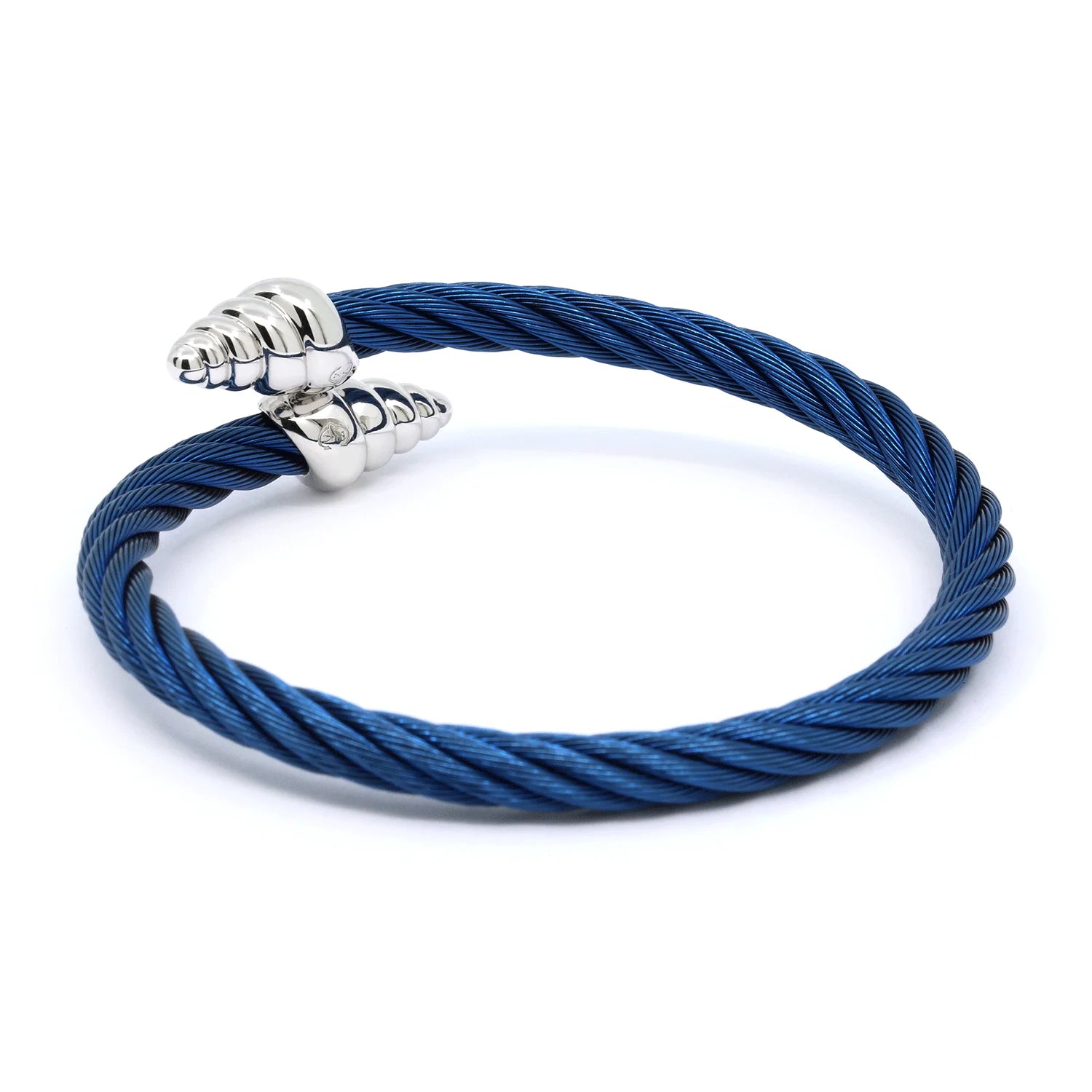 Bleu_Steel