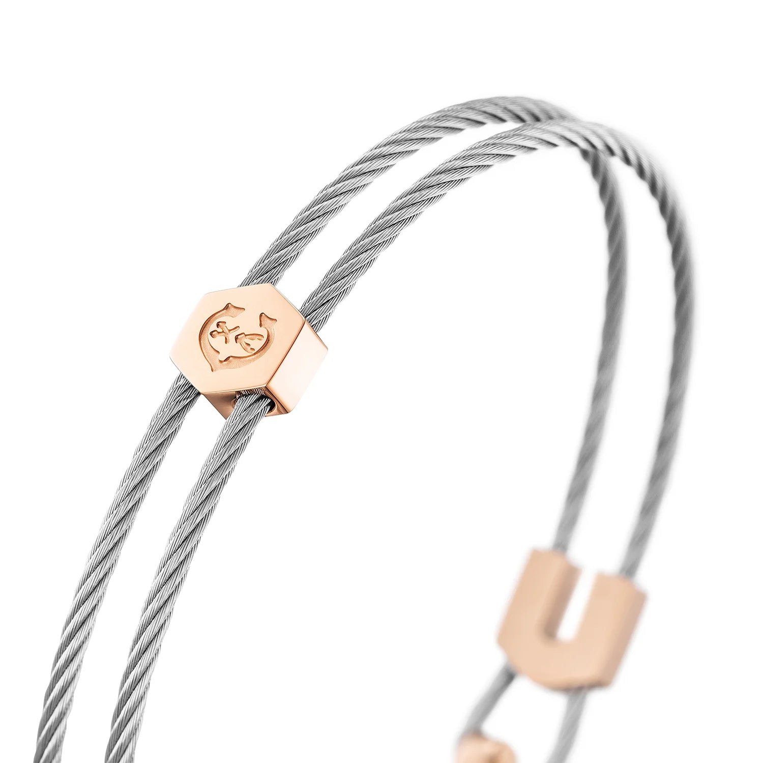Acier_Or Rose