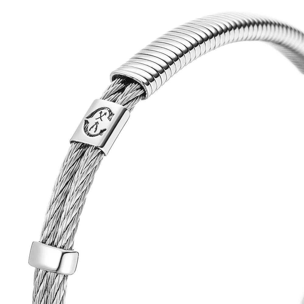 Acier_plaque métallique et ressort