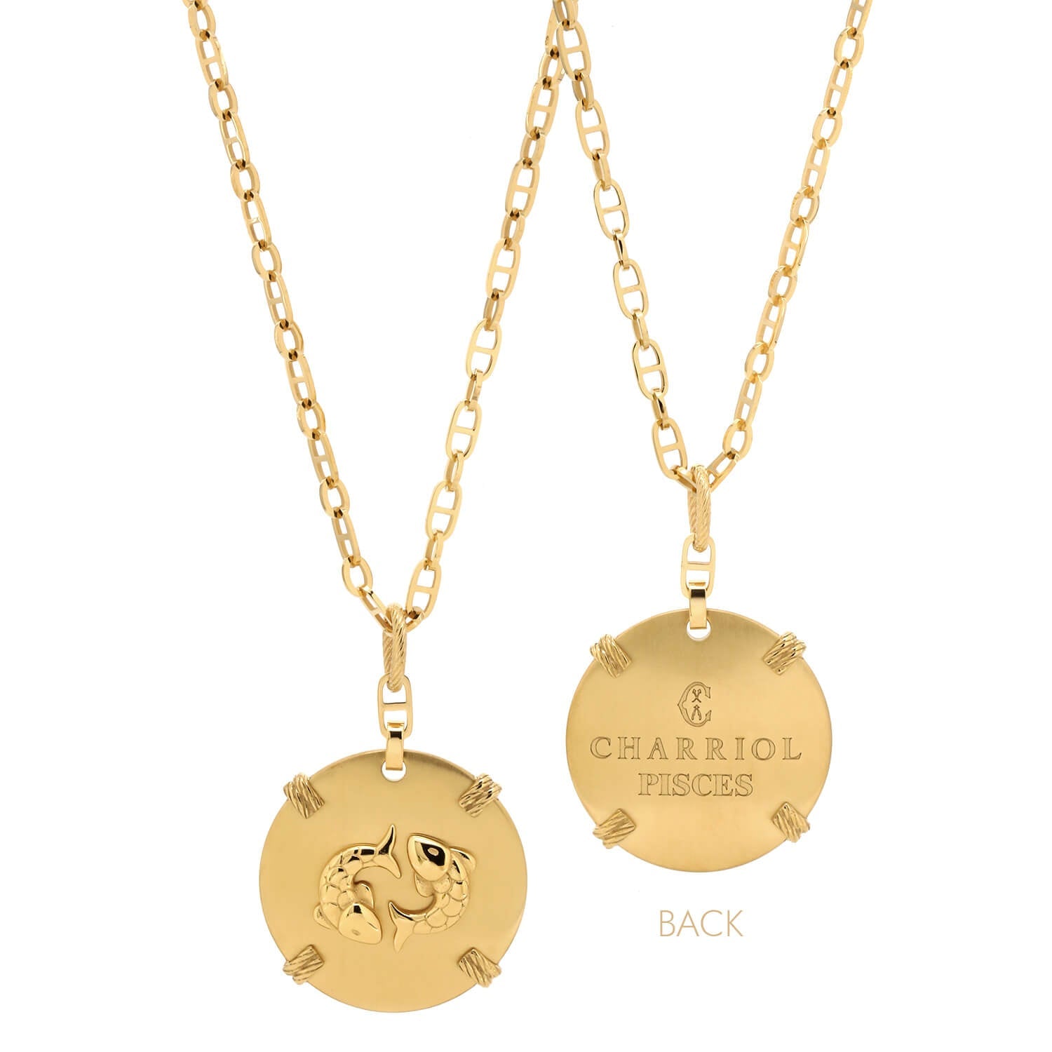 Or jaune_Or Poissons_60cm à 70cm