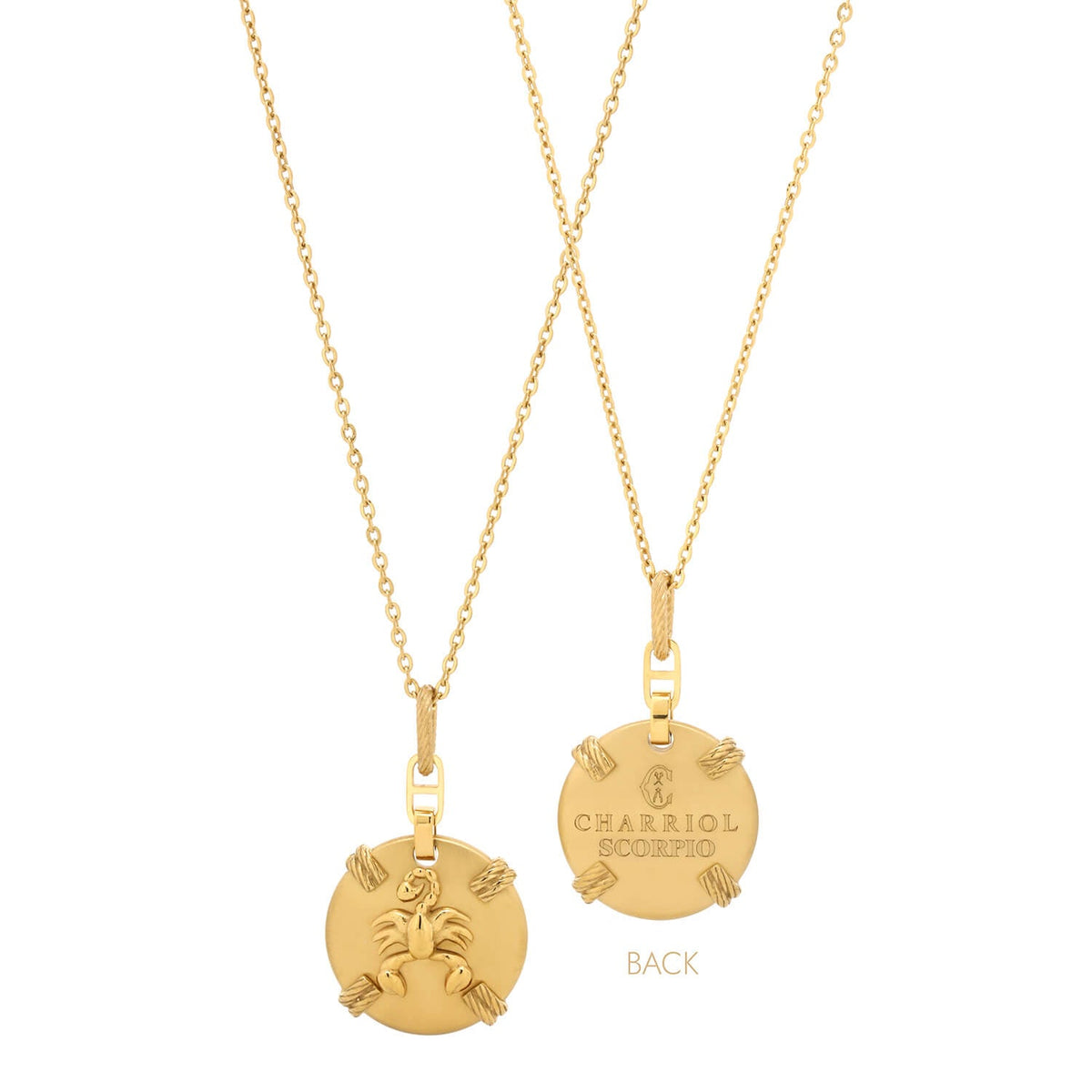 Or jaune_Or Scorpion_45cm à 55cm