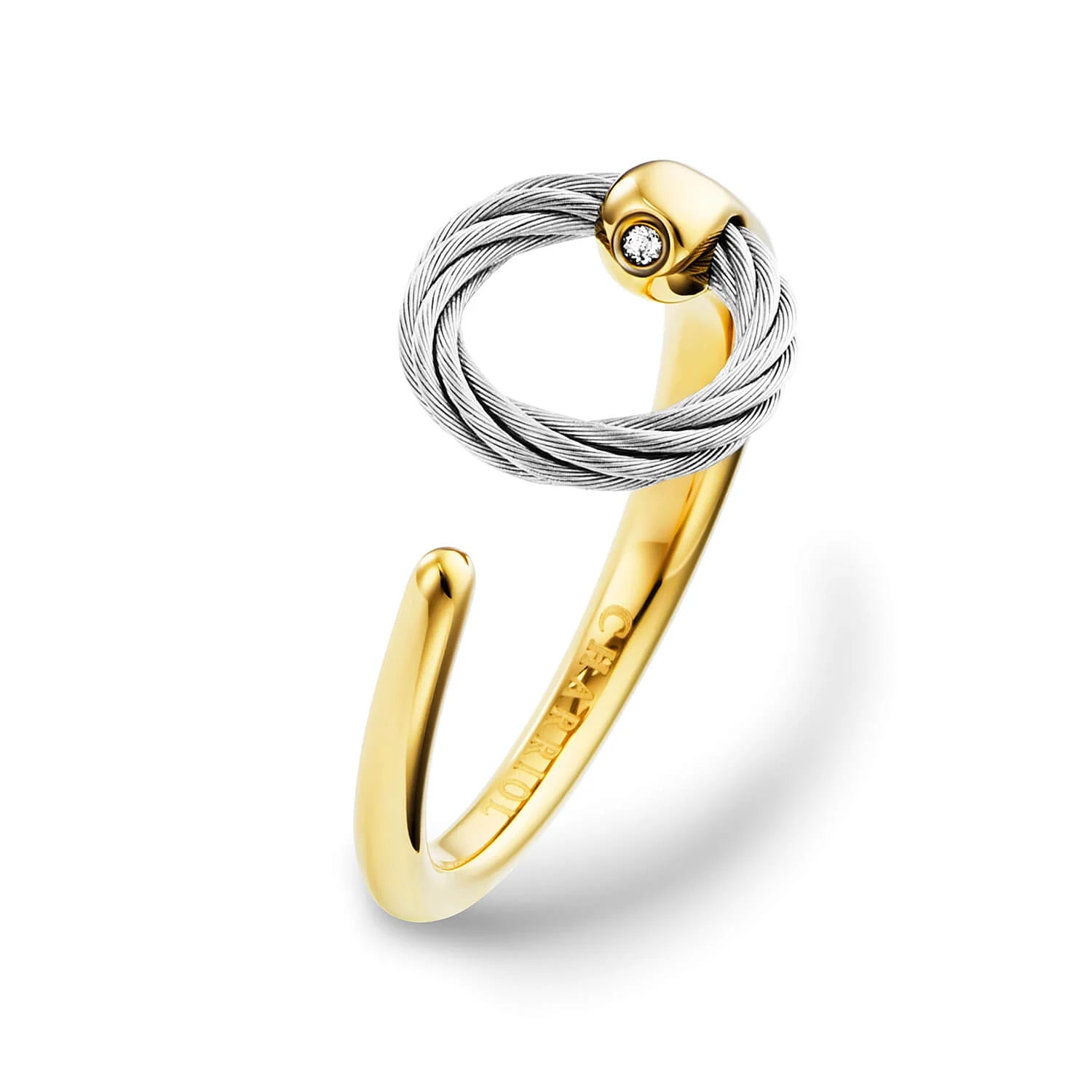 Acier_Or jaune